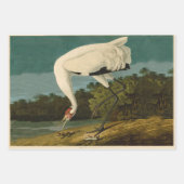 Arctic Tern Audubon Bird Wildlife Painting Geschenkpapier Set (Vorderseite 3)