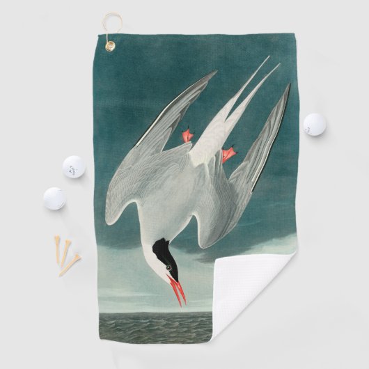 Arctic Tern Audubon Bird Wildlife Painting Golfhandtuch (Insitu)