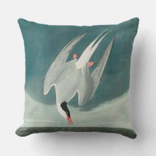 Arctic Tern Audubon Bird Wildlife Painting Kissen