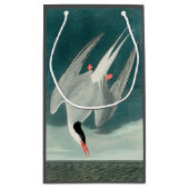 Arctic Tern Audubon Bird Wildlife Painting Kleine Geschenktüte (Rückseite)