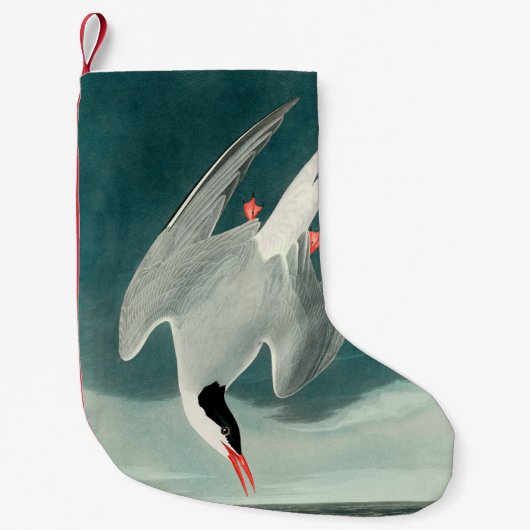 Arctic Tern Audubon Bird Wildlife Painting Kleiner Weihnachtsstrumpf (Vorderseite)