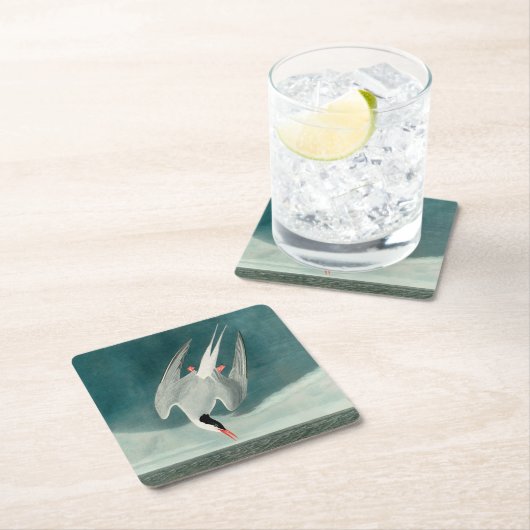 Arctic Tern Audubon Bird Wildlife Painting Rechteckiger Pappuntersetzer (Vor Ort)