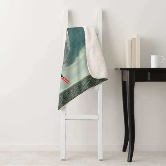 Arctic Tern Audubon Bird Wildlife Painting Sherpadecke (Beispiel)