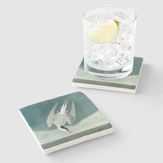 Arctic Tern Audubon Bird Wildlife Painting Steinuntersetzer (Seitenansicht)