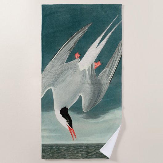 Arctic Tern Audubon Bird Wildlife Painting Strandtuch (Vorderseite)