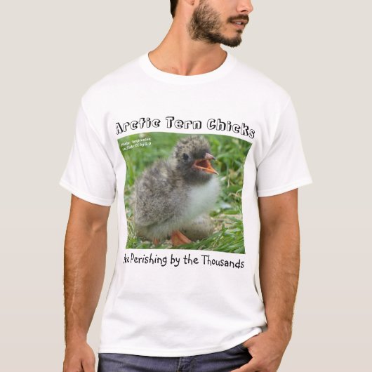 Arctic Tern Chicks werden von RoseWrites durchzoge T-Shirt (Vorderseite)