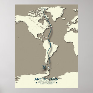 Arctic Tern Migration Map - Minimalistisch Vintage Poster
