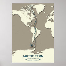 Arctic Tern Migration Map - Minimalistisch Vintage