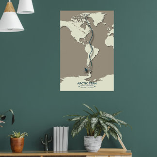 Arctic Tern Migration Map - Minimalistisch Vintage Poster