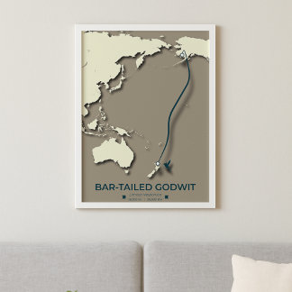 Arctic Tern Migration Map - Minimalistisch Vintage Poster