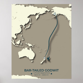 Arctic Tern Migration Map - Minimalistisch Vintage Poster