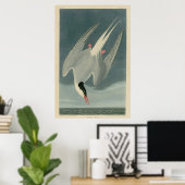 Arctic Tern Poster (Heimbüro)