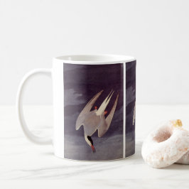 Arctic Tern von John James Audubon, Vintage Vögel Kaffeetasse