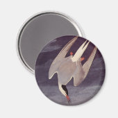 Arctic Tern von John James Audubon, Vintage Vögel Magnet (Vorderseite/Rückseite)