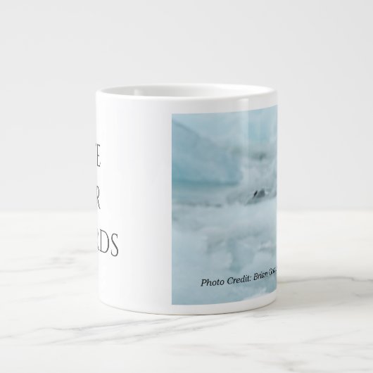 Arctic Terns 20 oz. Tasse von RoseWrites (Vorderseite)