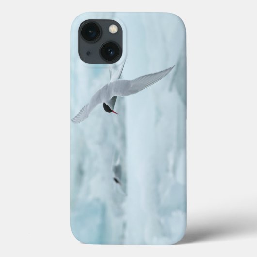 Arctic Terns iPad Air Hüllen von RoseWrites (Rückseite)