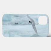 Arctic Terns iPad Air Hüllen von RoseWrites (Rückseite (Horizontal))