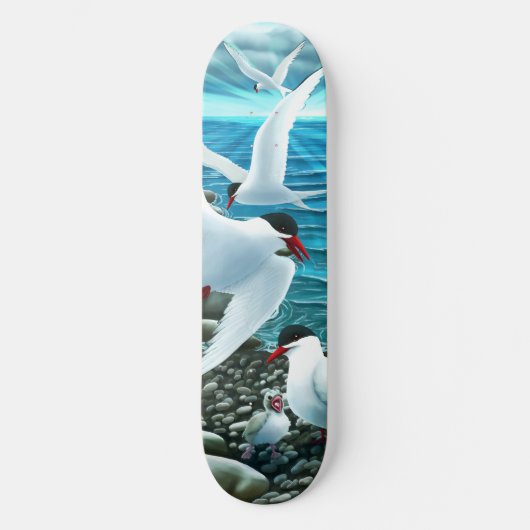 Arctic Terns Skateboard (Vorderseite)