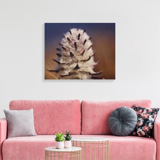 Arctic Tundra Wooly Lousewart Blume Oliktok, AK Leinwanddruck (Insitu (Wohnzimmer))