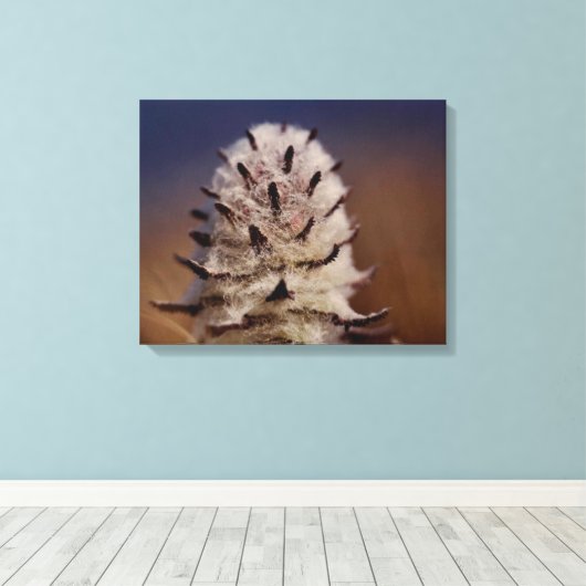 Arctic Tundra Wooly Lousewart Blume Oliktok, AK Leinwanddruck (Insitu (Holzboden))