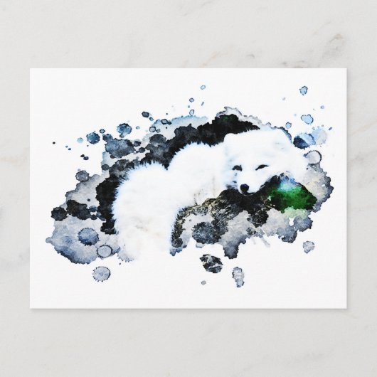 *~* Arctic White - Snow Polar Fox Ap18 Wildlife Postkarte (Vorderseite)