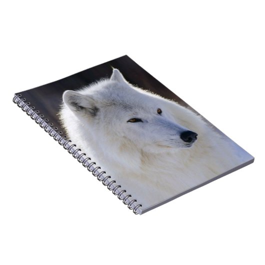 Arctic White Wolf Notebook Notizblock (Rechte Seite)