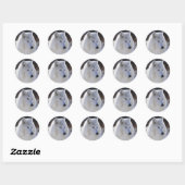Arctic White Wolf Stickers (Blatt)