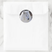 Arctic White Wolf Stickers (Tasche)