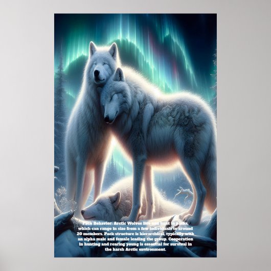 Arctic White Wolves Guardians Poster (Vorne)