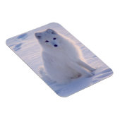 Arctic Winter Fox Foto entworfen Magnet (Rechte Seite)