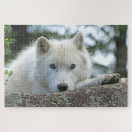 ARCTIC WOLF 20x30 INCH Puzzle