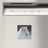 Arctic Wolf Magnet (In Situ (Geschirrspüler))