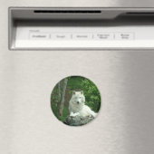 Arctic Wolf Magnet (In Situ (Geschirrspüler))