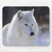 Arctic Wolf Mousepad (Vorne)