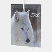 Arctic Wolf Ornament Aus Glas (Vorderseite links)