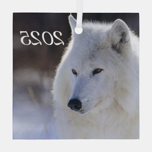 Arctic Wolf Ornament Aus Glas (Rückseite)