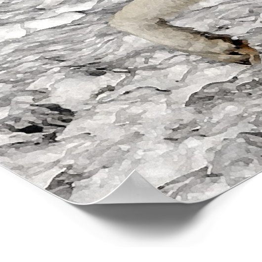 Arctic Wolf Portrait Poster Print (Ecke)