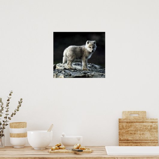 Arctic Wolf Portrait Poster Print (Küche)