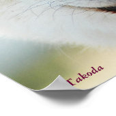 Arctic Wolf Poster (Ecke)