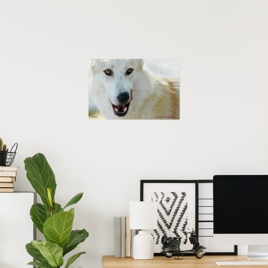 Arctic Wolf Poster (Heimbüro)