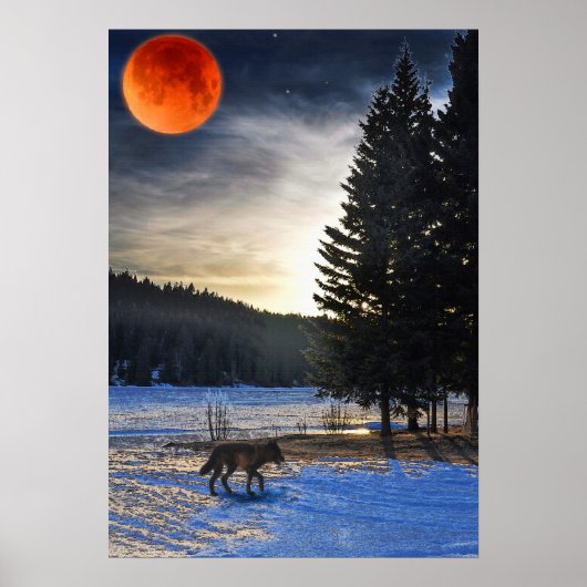 Arctic Wolf, Snow & Lake Wildlife Art Poster (Vorne)