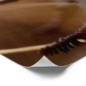 Arctic Wooly Lousewart Blume Foto entwickelt Poster (Ecke)