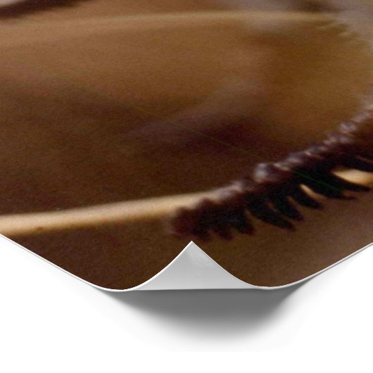 Arctic Wooly Lousewart Blume Foto entwickelt Poster (Ecke)