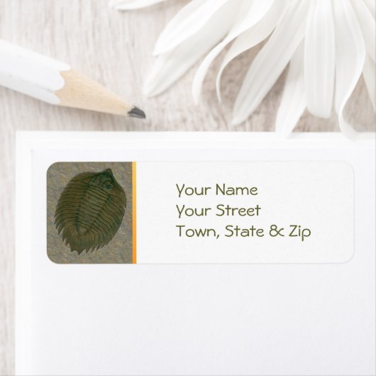 Arctinrus Boltoni Fossil Trilobit (Insitu)