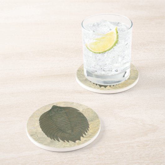 Arctinrus Boltoni Fossil Trilobit Sandstein Untersetzer (Seite)