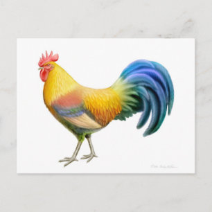 Ardenner Rooster Postkarte