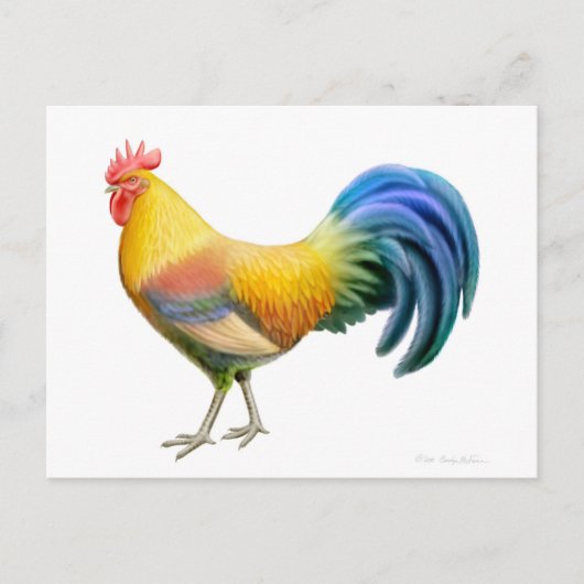 Ardenner Rooster Postkarte (Vorderseite)