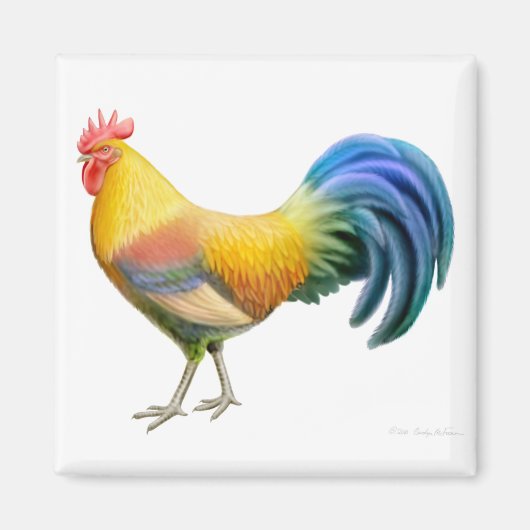 Ardenner Rooster Square Magnet (Vorne)