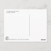 Ardennes foal postkarte (Rückseite)