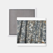 Ardots Magnet (Vorderseite/Rückseite)